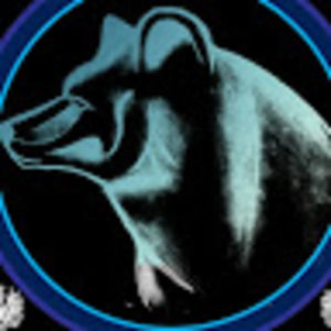 Meet your Posher, Wyatt